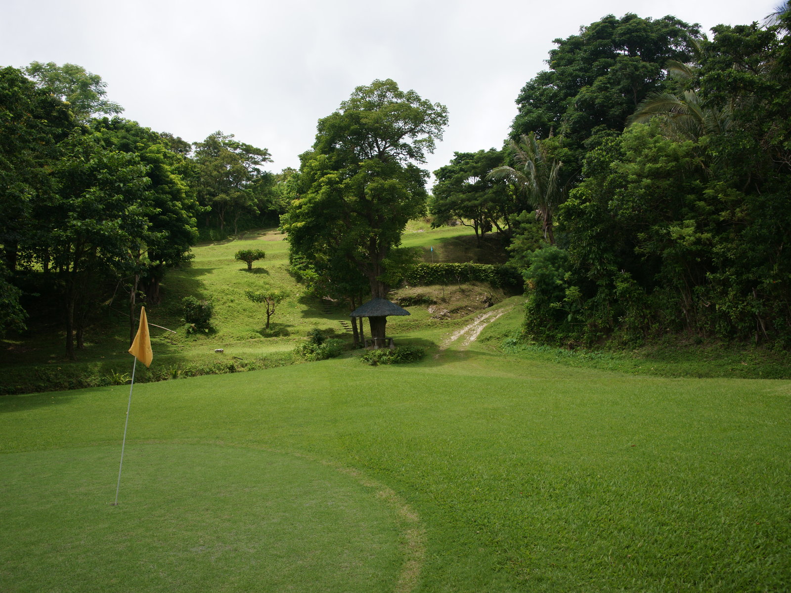 All Below Golf Sceneries Are From Course Ponderosa Puerto Galera