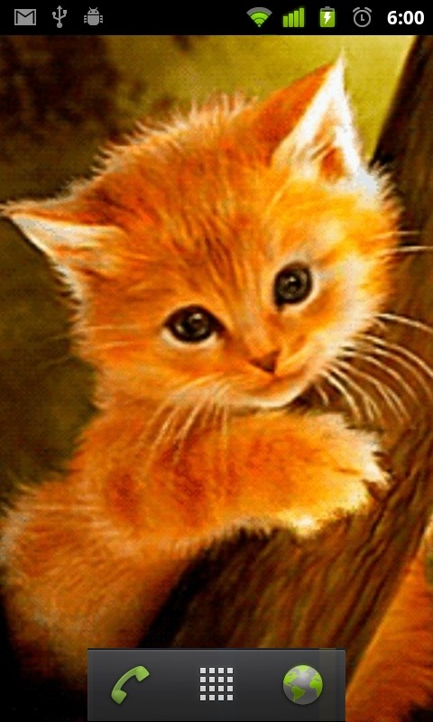 Cute Kitten Live Wallpaper Android