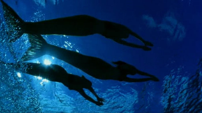 Image Mermaid Silhouettes In Water Jpg H2o Just Add