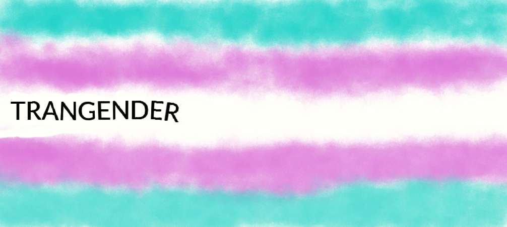 Pride Flag The Transgender By Gialla Vs World