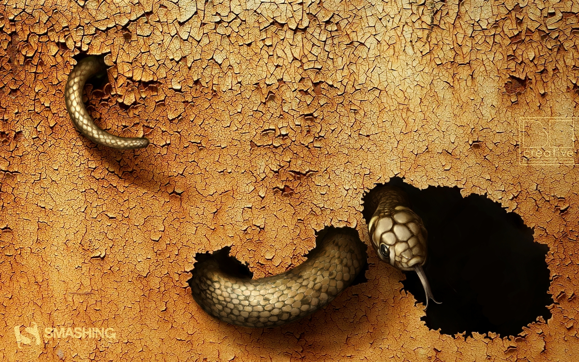 Dangerous Snake Wallpaper HD
