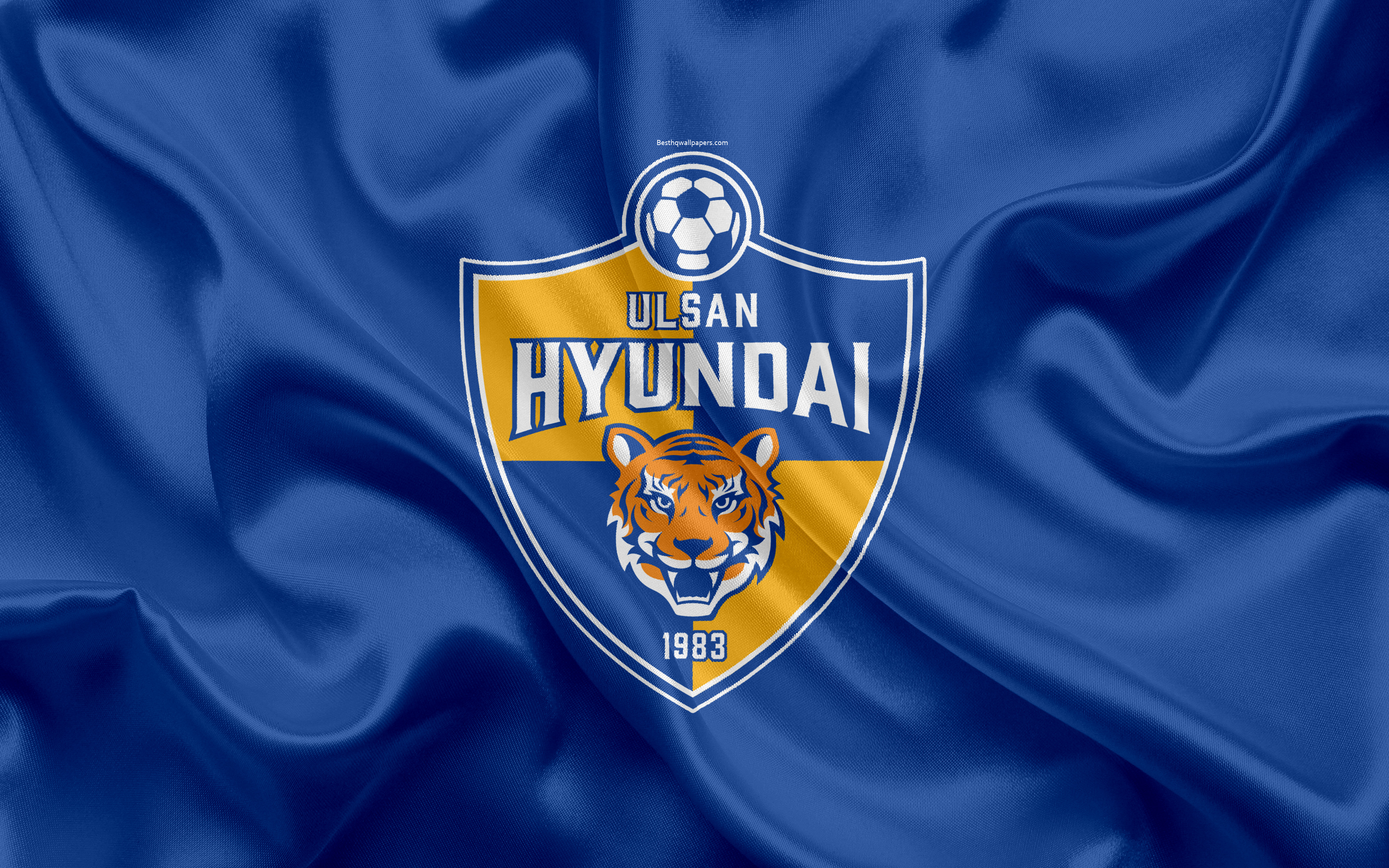 Wallpaper Ulsan Hyundai Fc Silk Flag 4k Logo Emblem