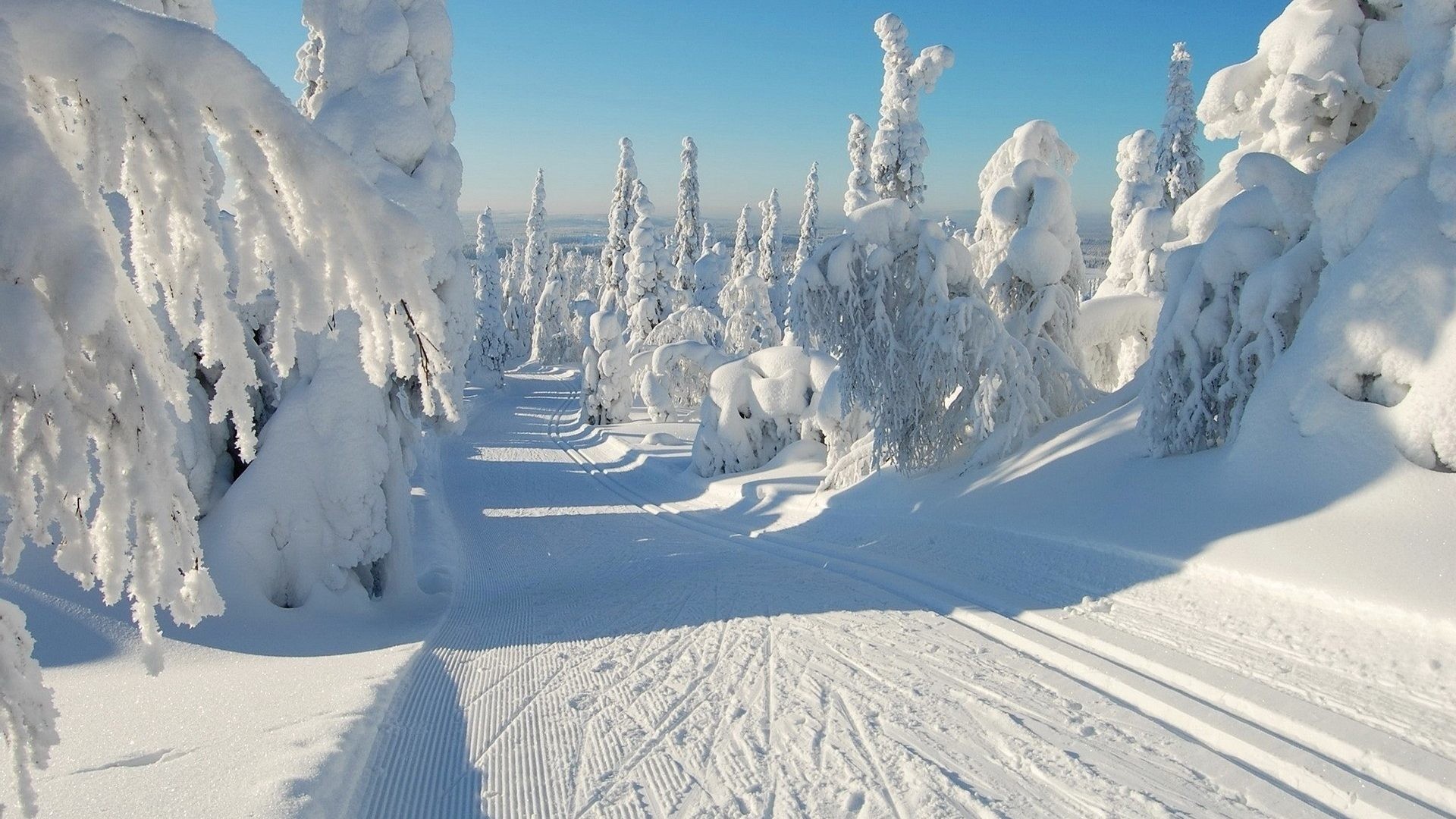 Snowy Winter Scenes Wallpaper