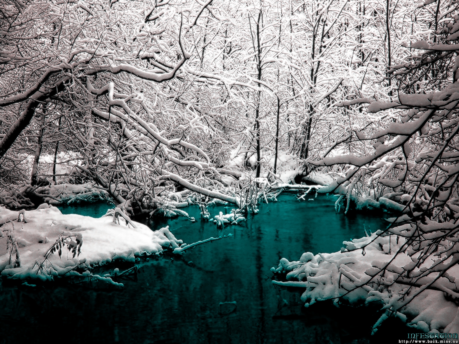Winter Trees Wallpaper Cold Rivers