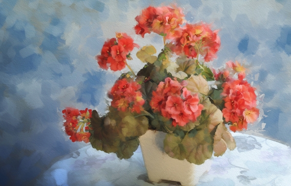 Wallpaper Flower Geranium Pot Painting