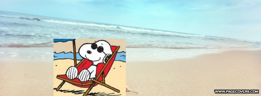 Snoopy Summer Cover