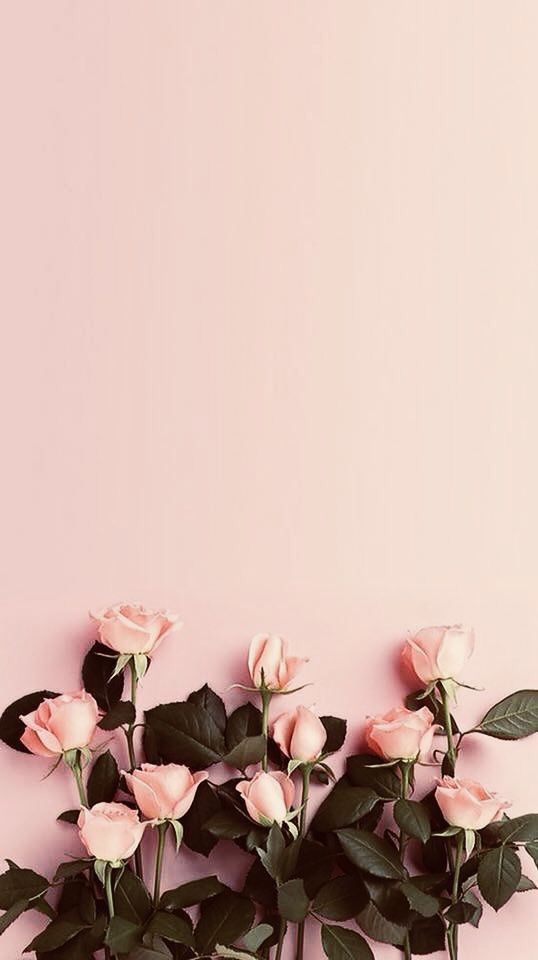 Elegant Flower Wallpaper You Need To Save Soopush Floral