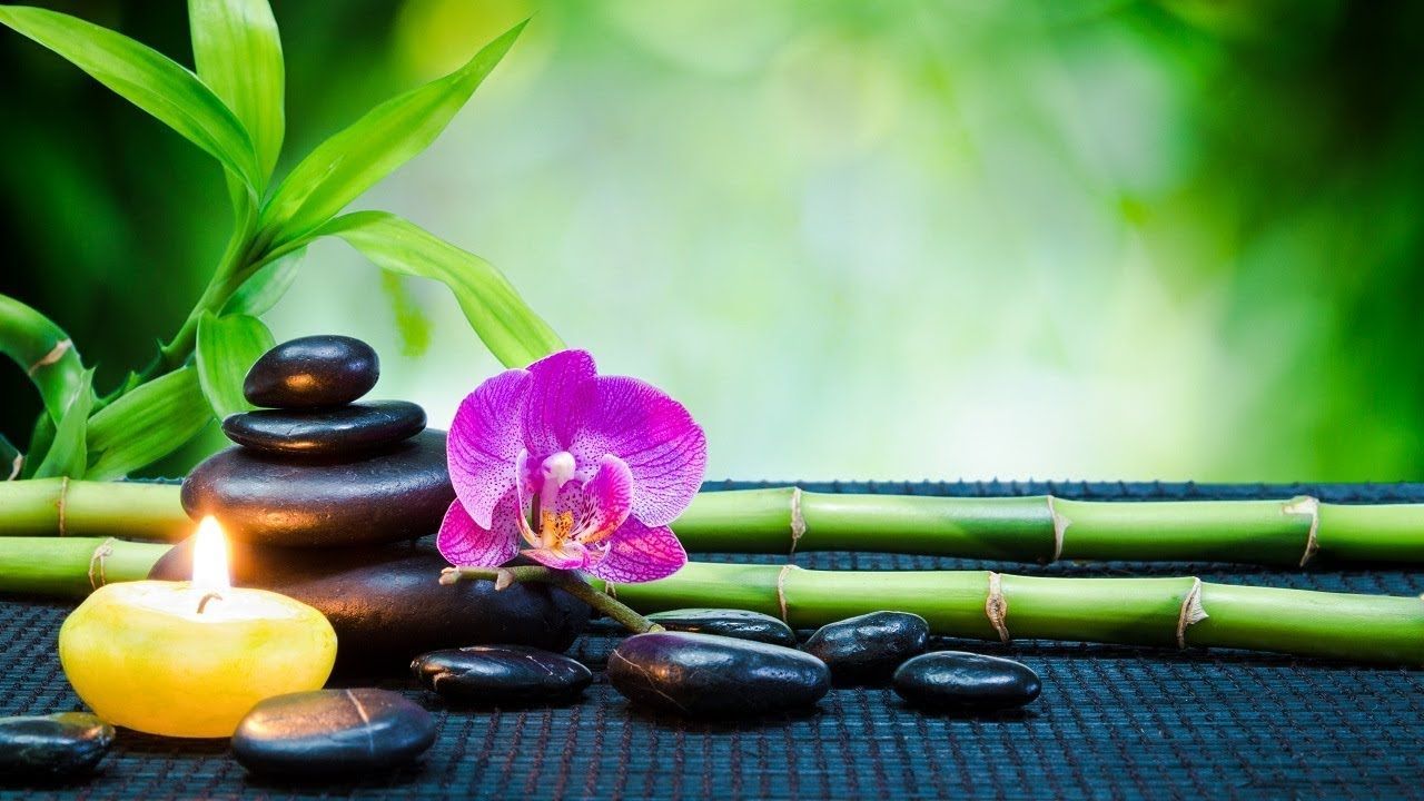 Mindfulness Bamboo Wallpaper High Definition