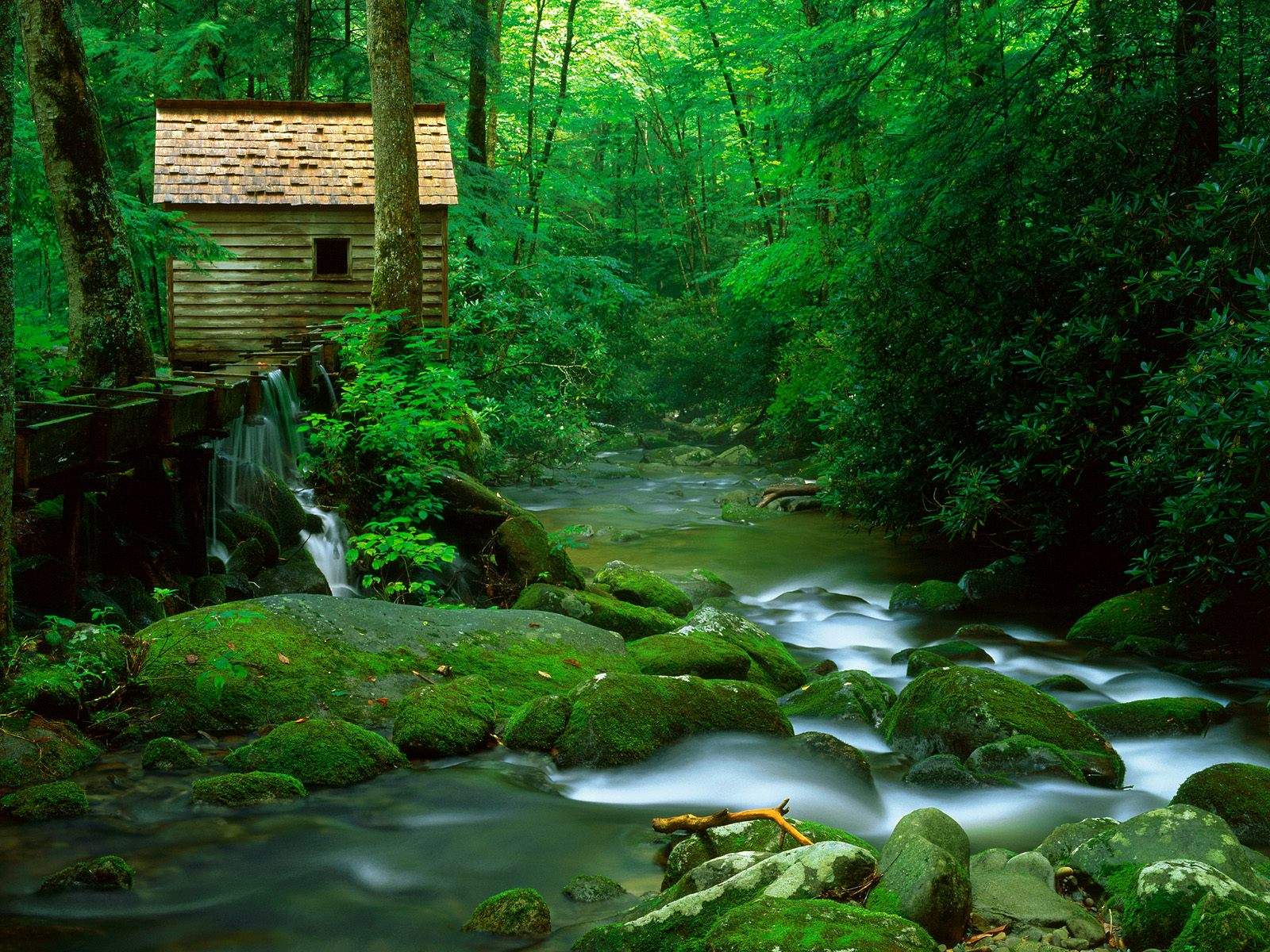 Black And White Wallpaper Cabin Stream In Forest