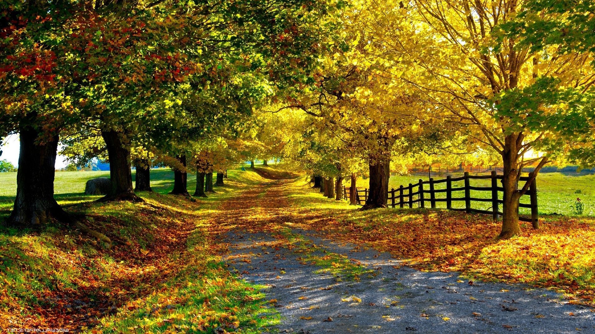 3d HD Nature Wallpaper