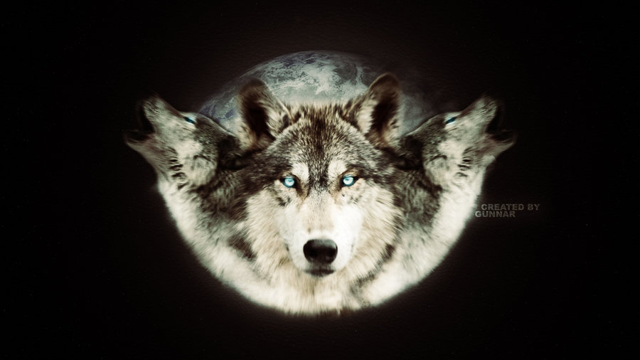 Wolf Pack Wallpaper By Gunnaredits
