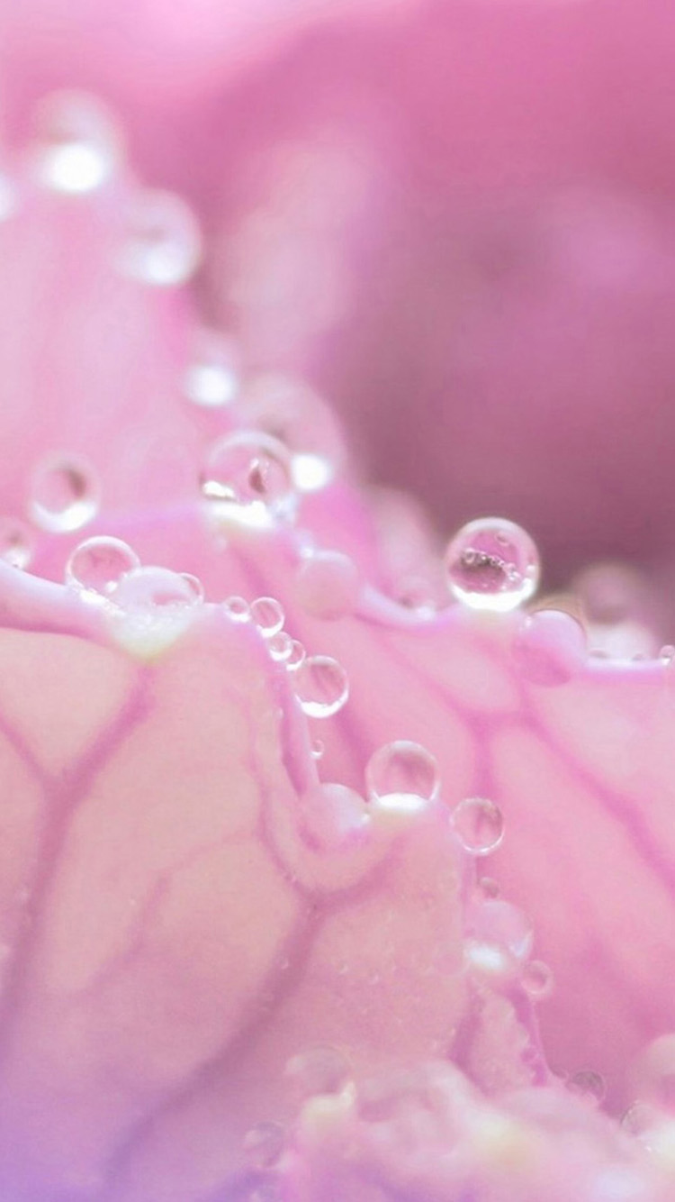 Pink Water Drop iPhone Wallpaper HD