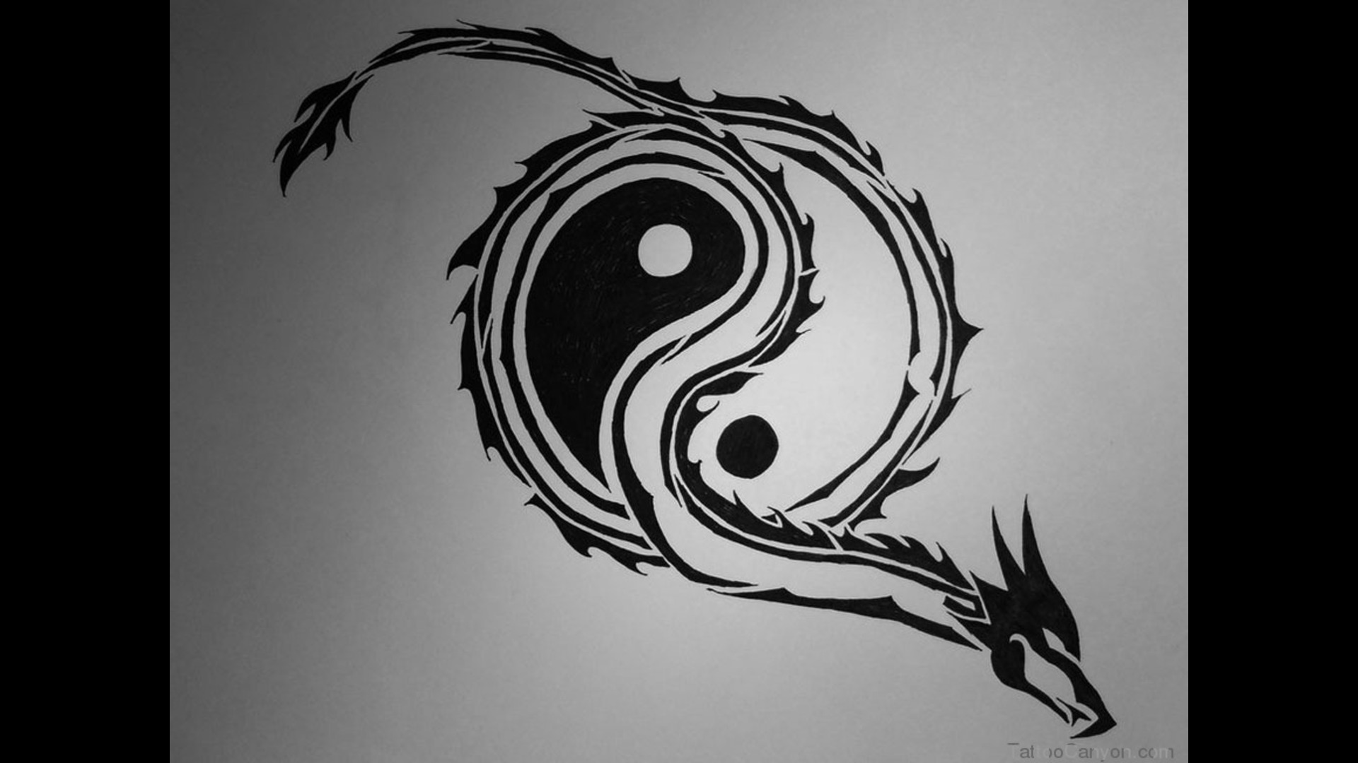 Ying Yang Tattoos Images TheCelebrityPix