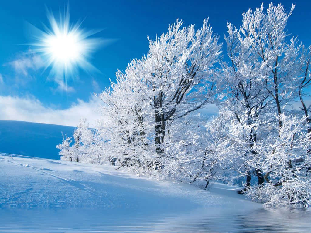 Winter Snow Desktop Wallpaper
