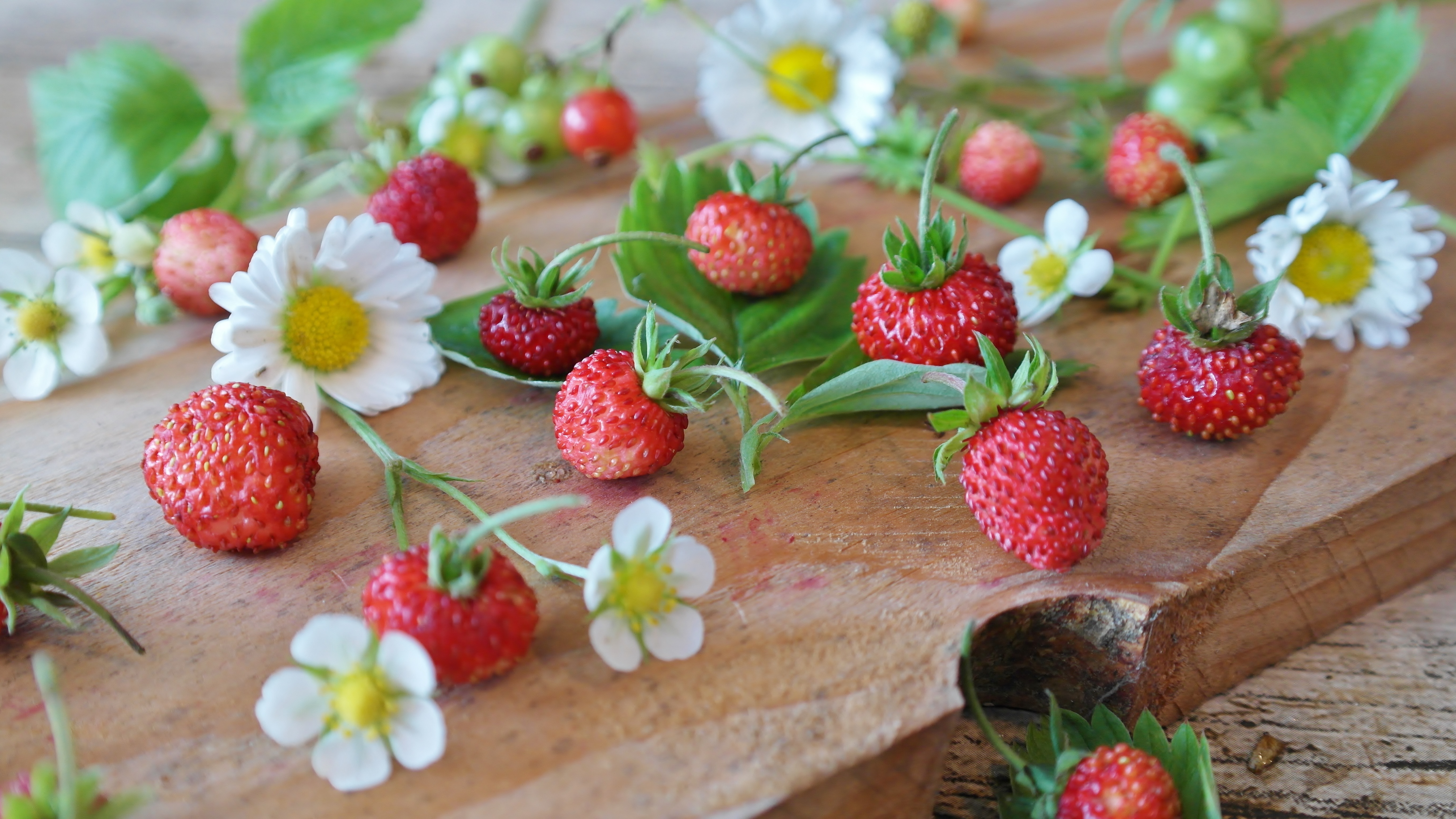 Strawberry 4k Ultra HD Wallpaper