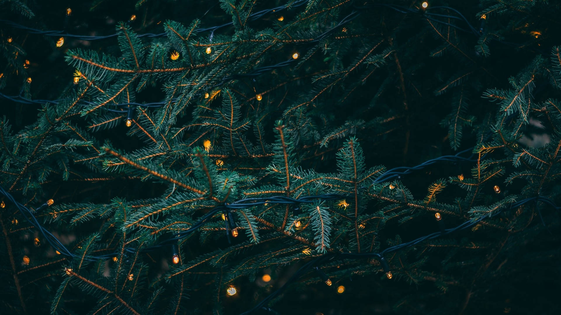 Christmas Aesthetic Wallpaper