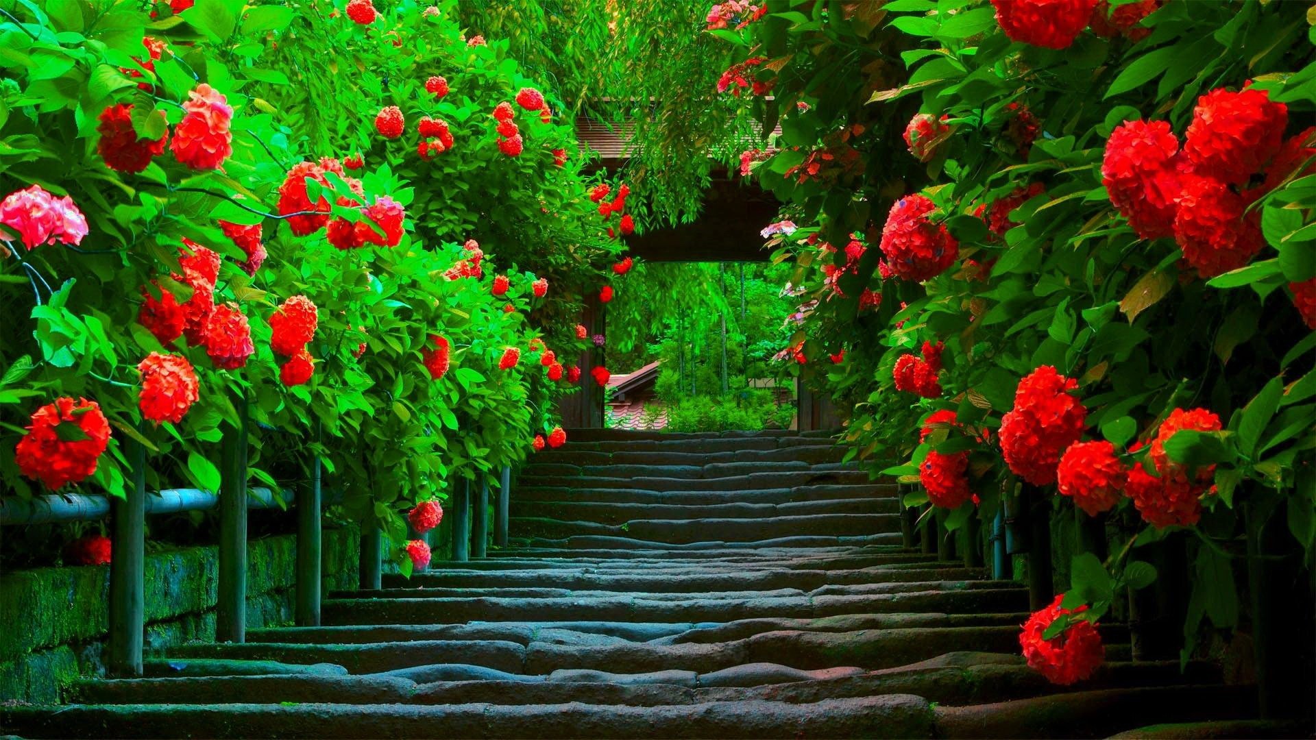 Beautiful Wallpaper For Desktop Full Screen