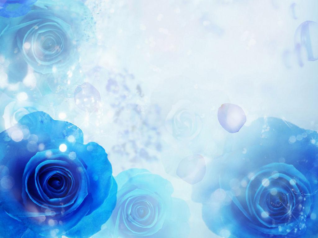 Blue Roses Wallpaper Cynthia Selahblue Cynti19