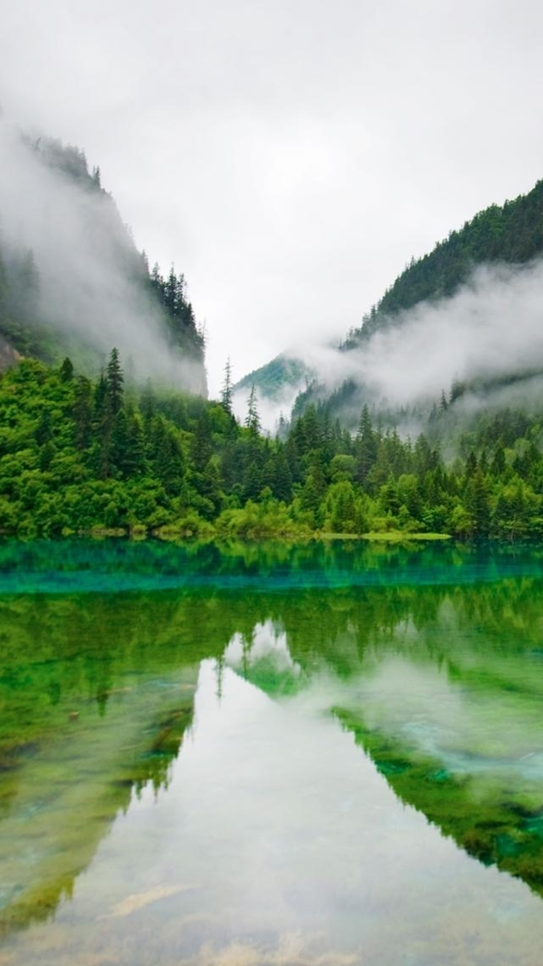 Foggy Mountains Calm Lake Forest iPhone Wallpaper