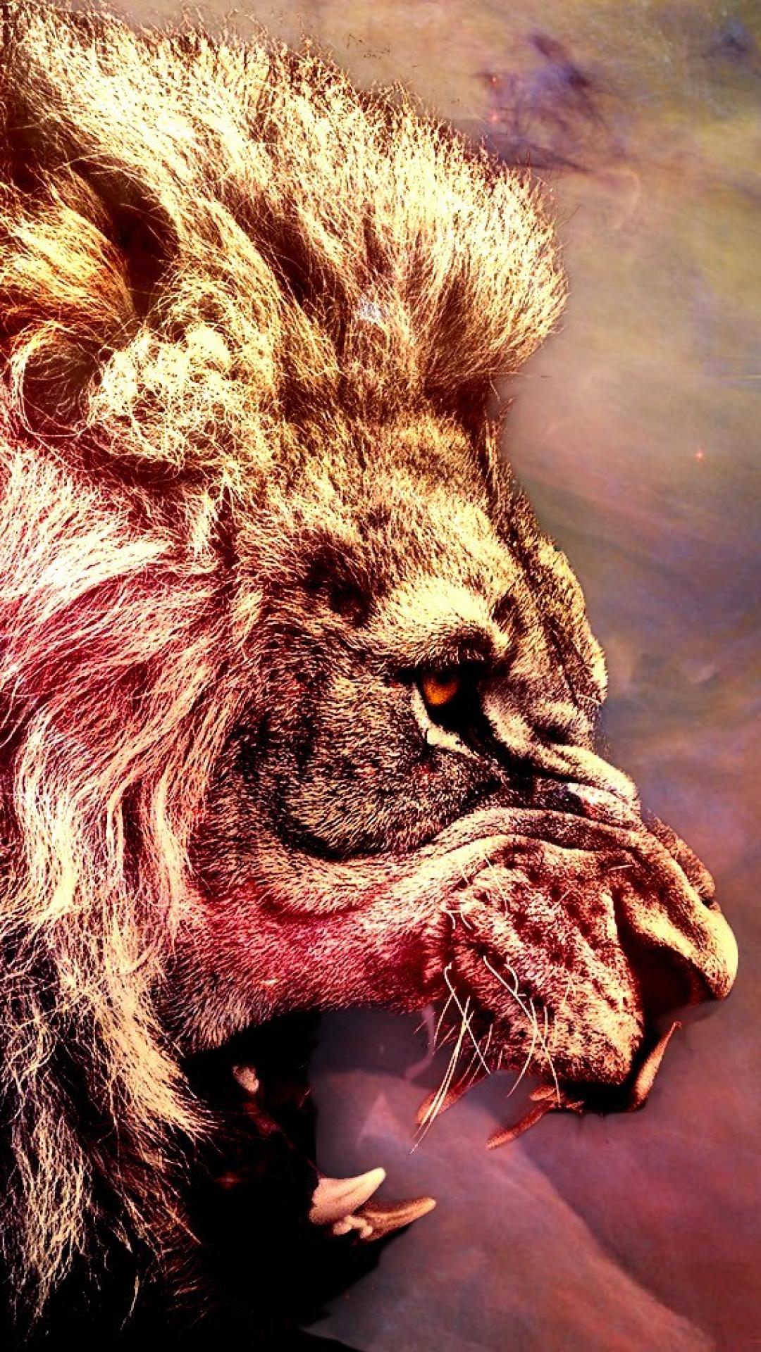 Animal Fur Wallpaper On