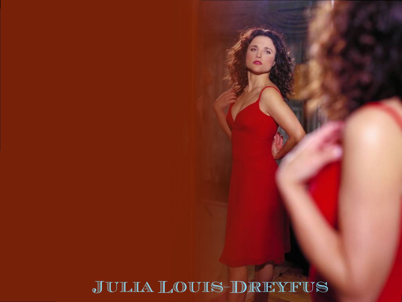 Julia Louis Dreyfus Image HD Wallpaper And