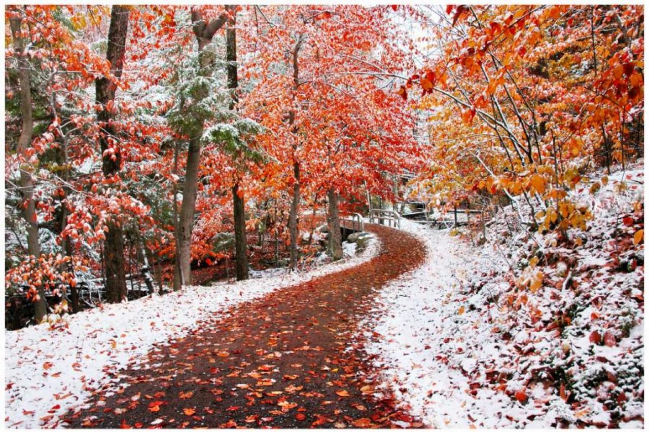  90 Fall Winter Backgrounds Wallpapers WallpaperSafari