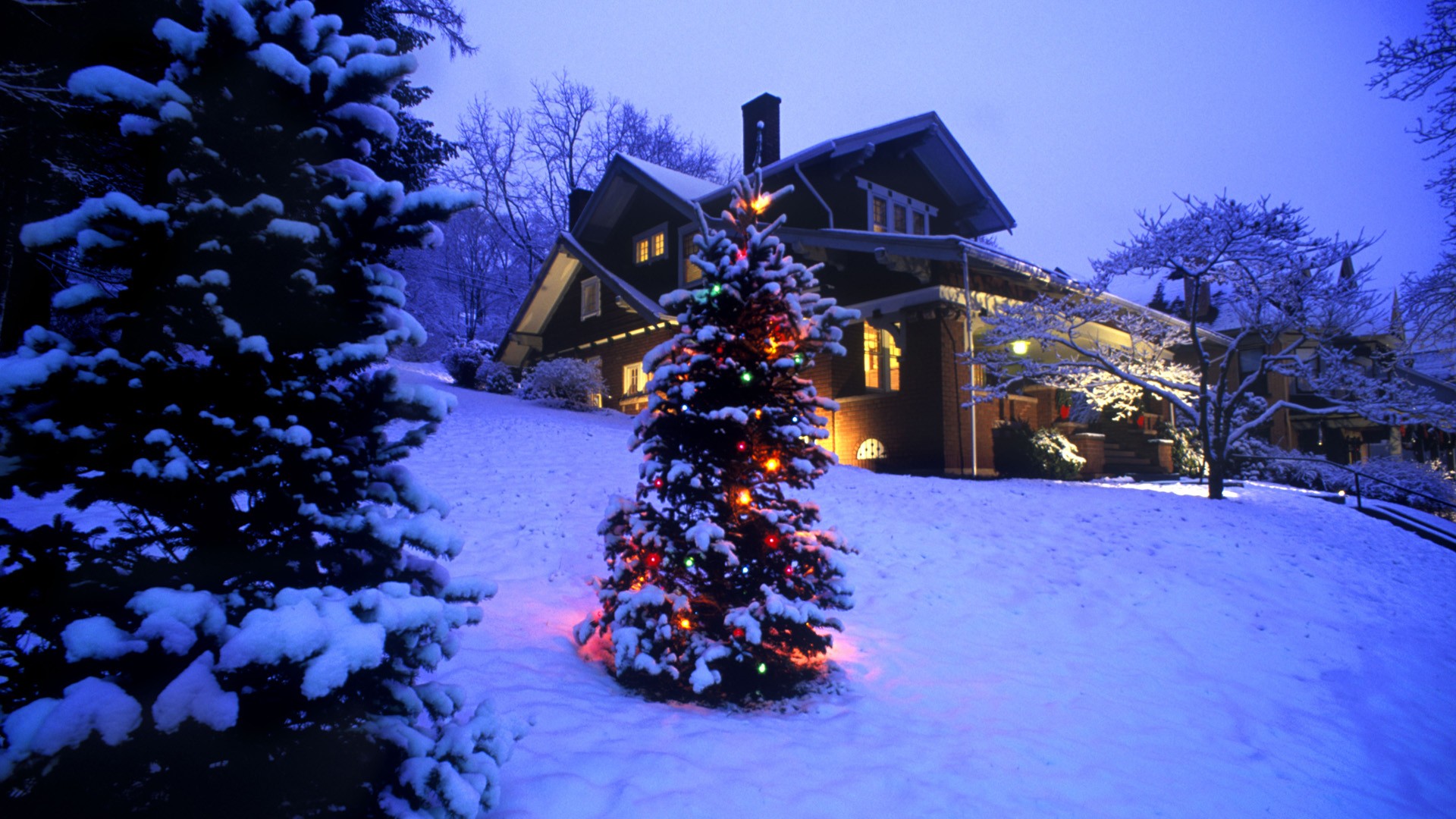 A snow-covered Christmas tree adorned with colorful lights stands in front of a house, also dusted with snow, evoking a warm and festive holiday scene