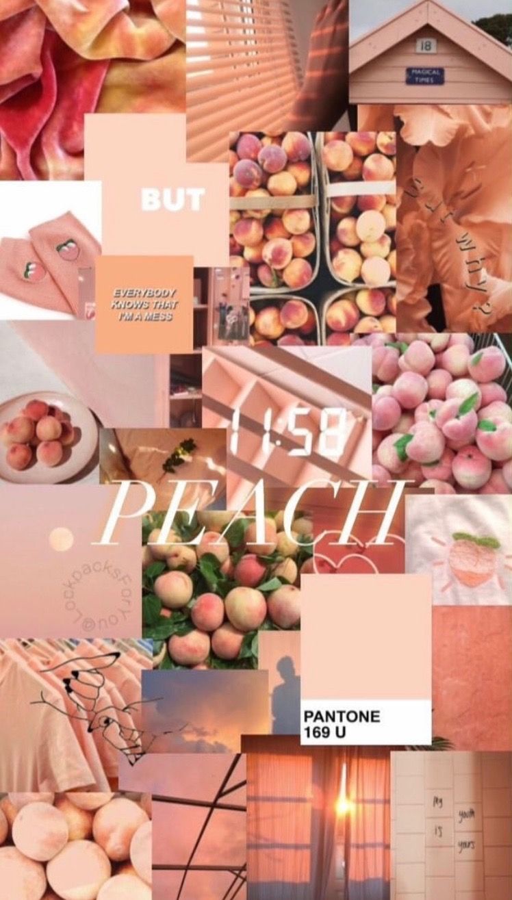 Peach Aesthetic Wallpaper On