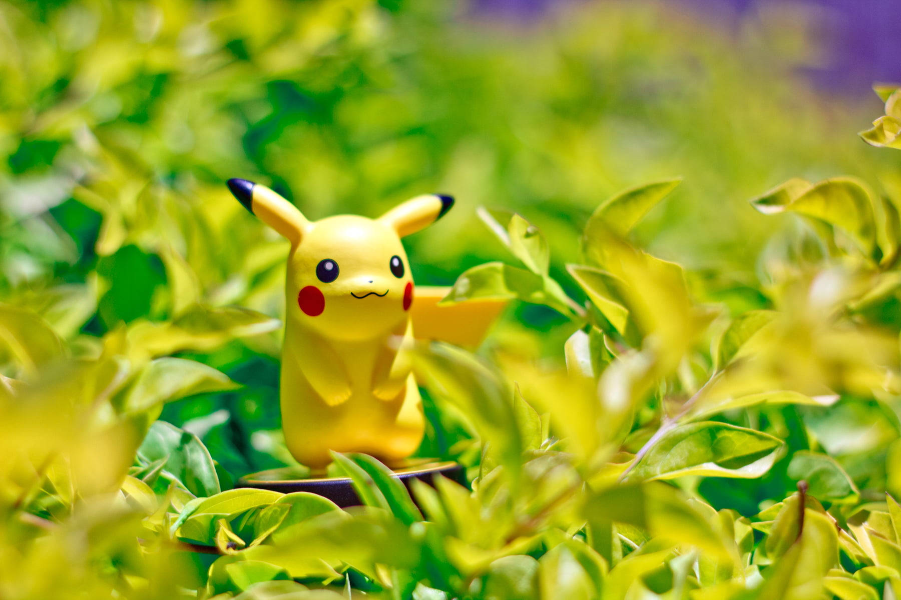 Pikachu 3d Wallpaper