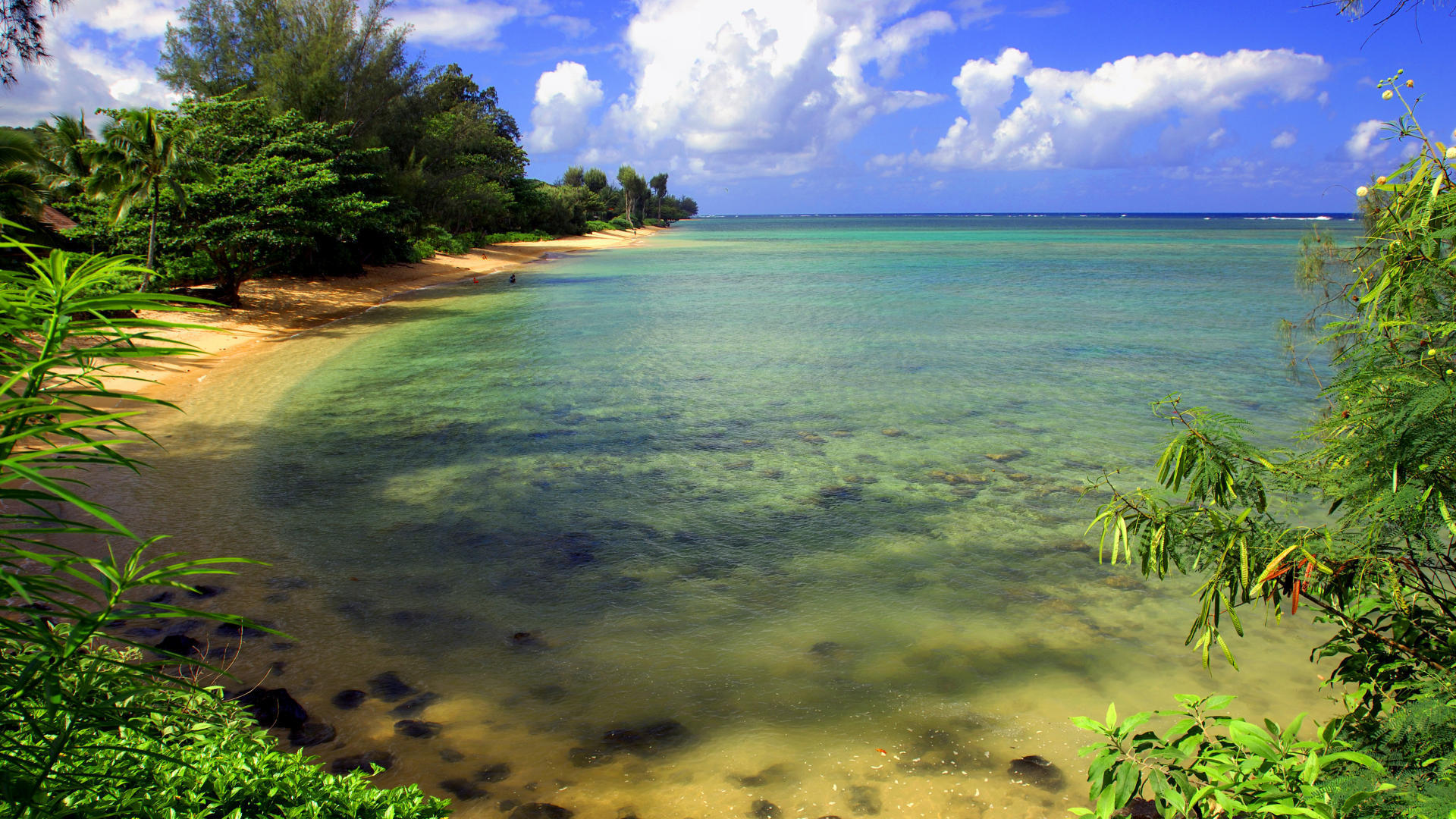 Green Beach Island Of Vieques Puerto Rico Desktop Wallpaper Pictures