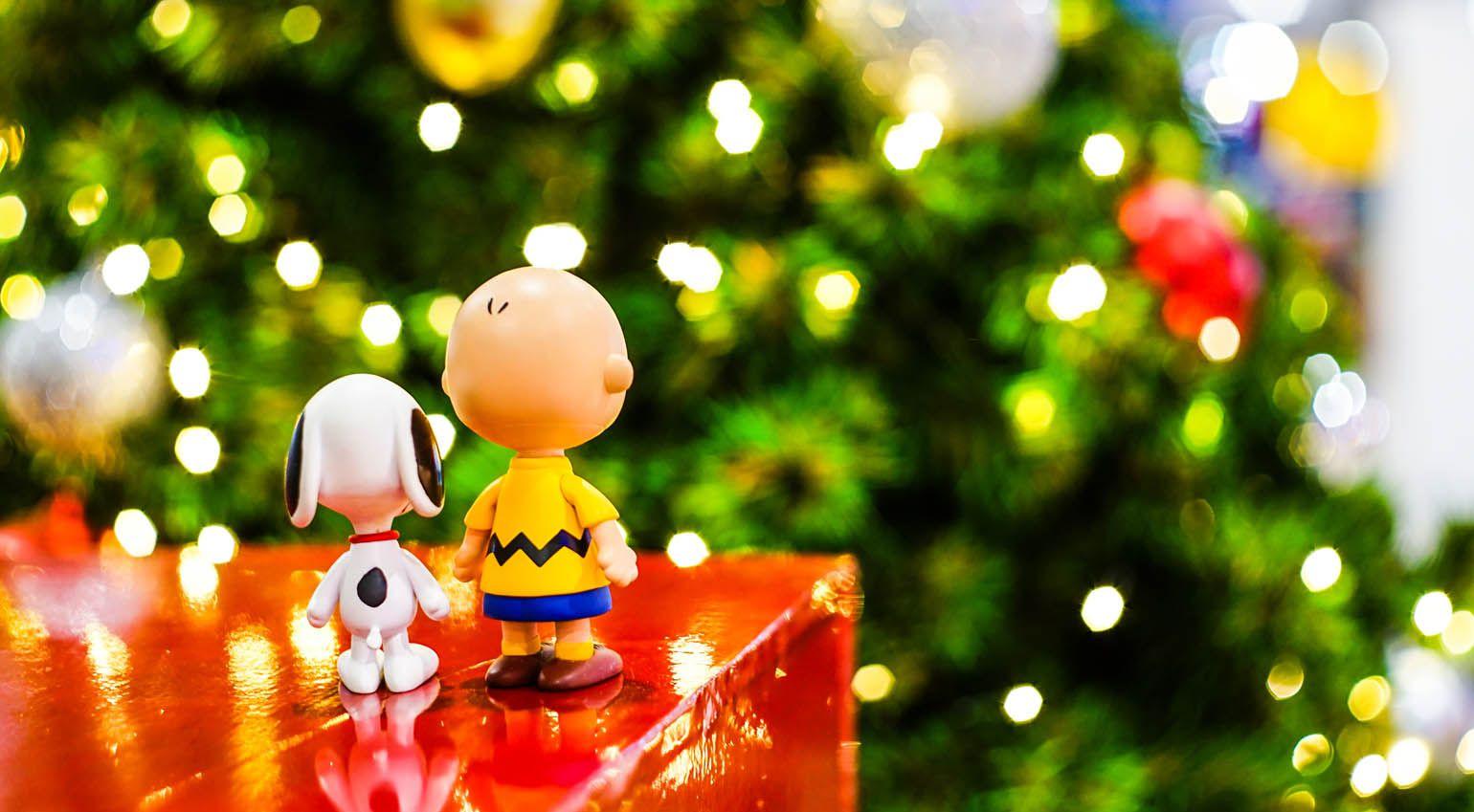 Things A Charlie Brown Christmas Taught Me About Deployment