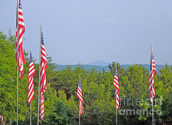 American Flags With Kennesaw Mountain In Background Print By Renee