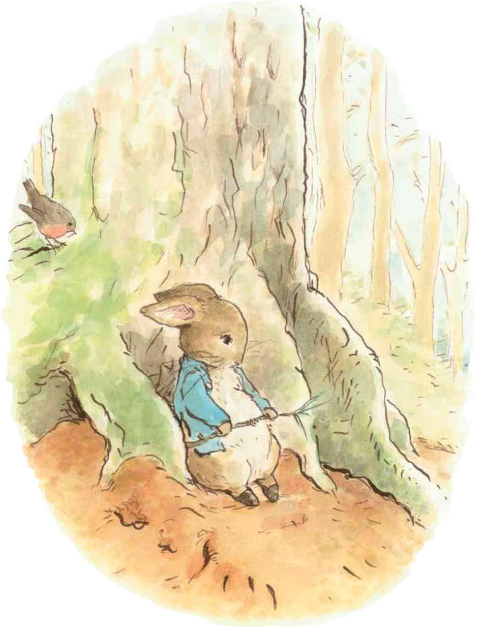 In Emma Thompsons new book Peter Rabbit decides he needs a change of