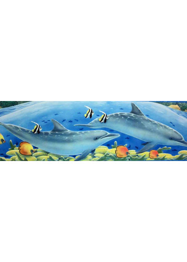Children S Rooms Under The Sea Dolphin Wallpaper Border