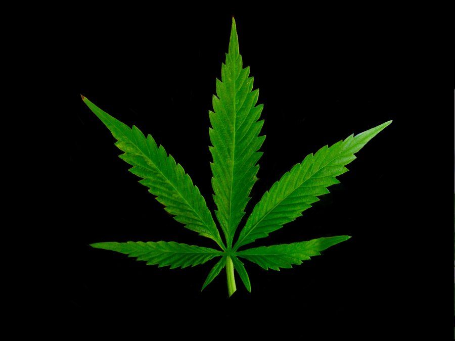 Awesome Weed Designs Marijuana Leaf By Sljones