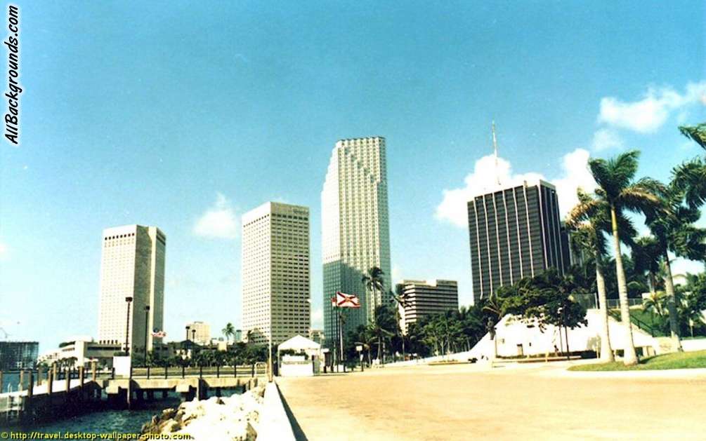 Miami Florida Backgrounds   Myspace Backgrounds