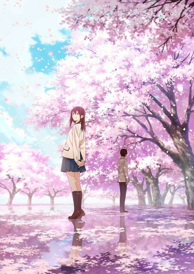 I Want To Eat Your Pancreas Movie Gets New Visual Fall