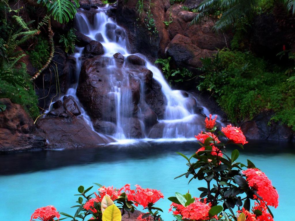 Paradise Land with Beautiful Gardens Waterfalls and Flowers Magical  Idyllic Background with Many Flowers in Eden Generative Ai Stock  Illustration  Illustration of beautiful eden 279216372