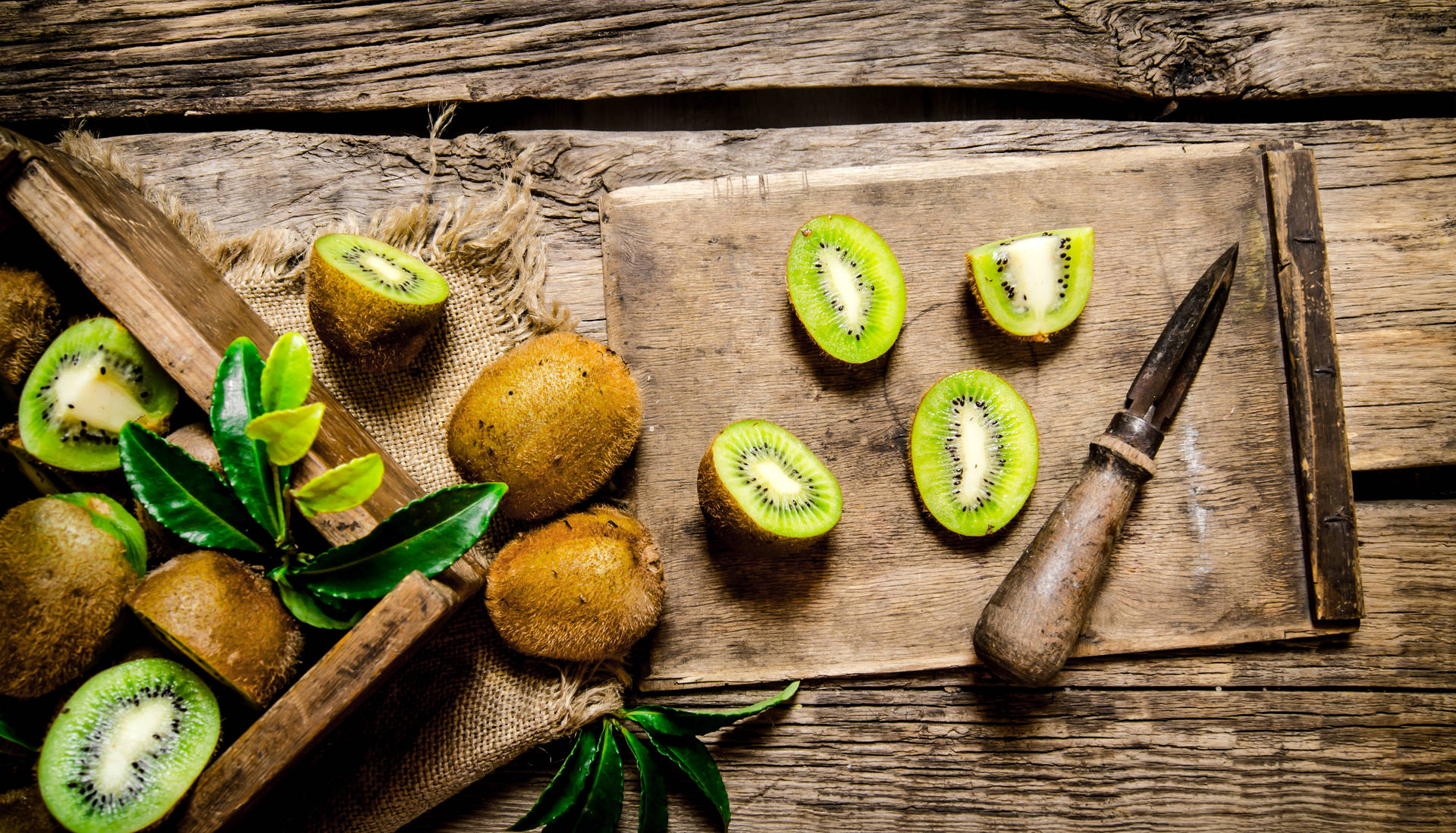 Top Kiwi Wallpaper Full HD 4k To Use