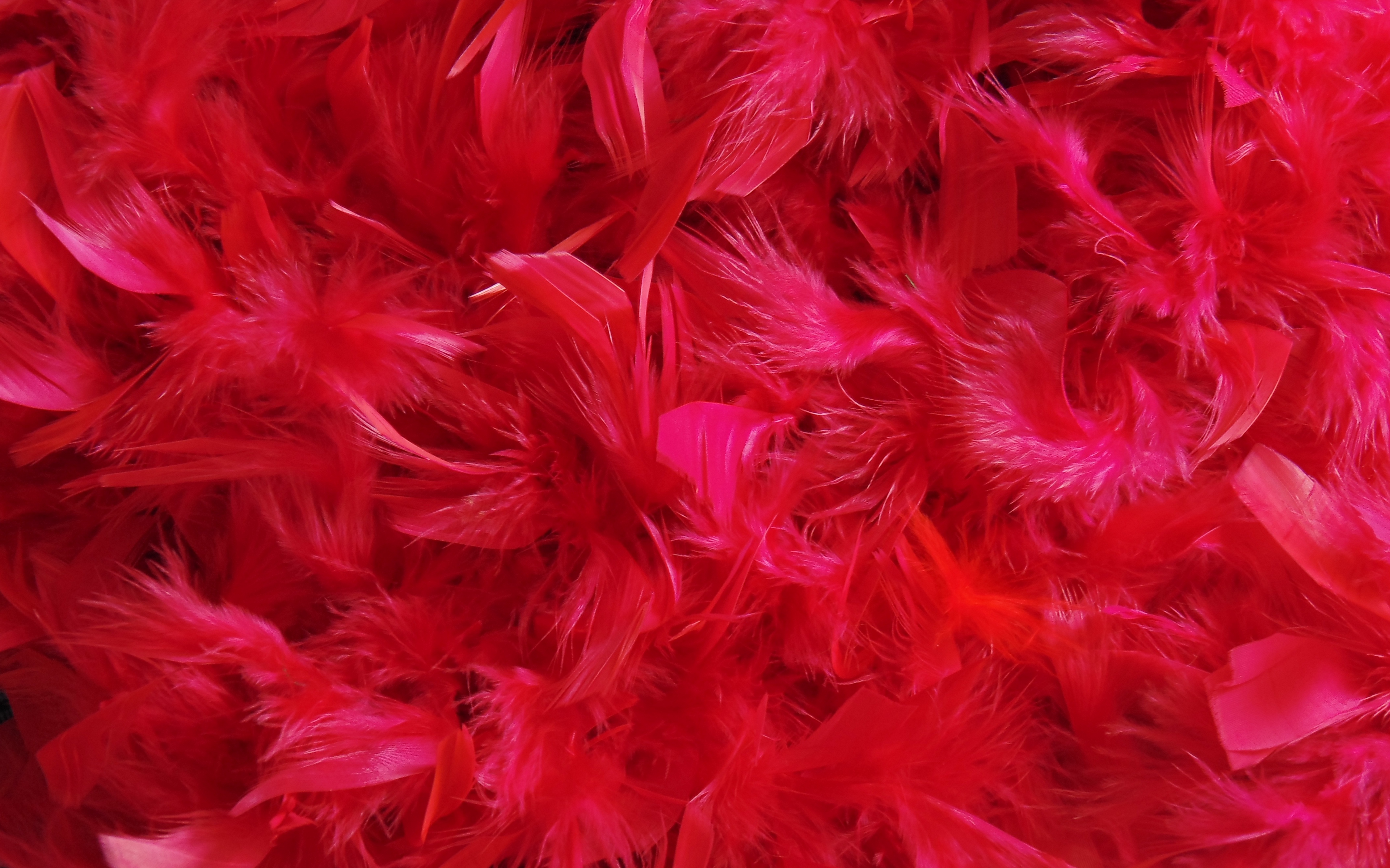 Wallpaper Feathers Down Red 4k Ultra HD