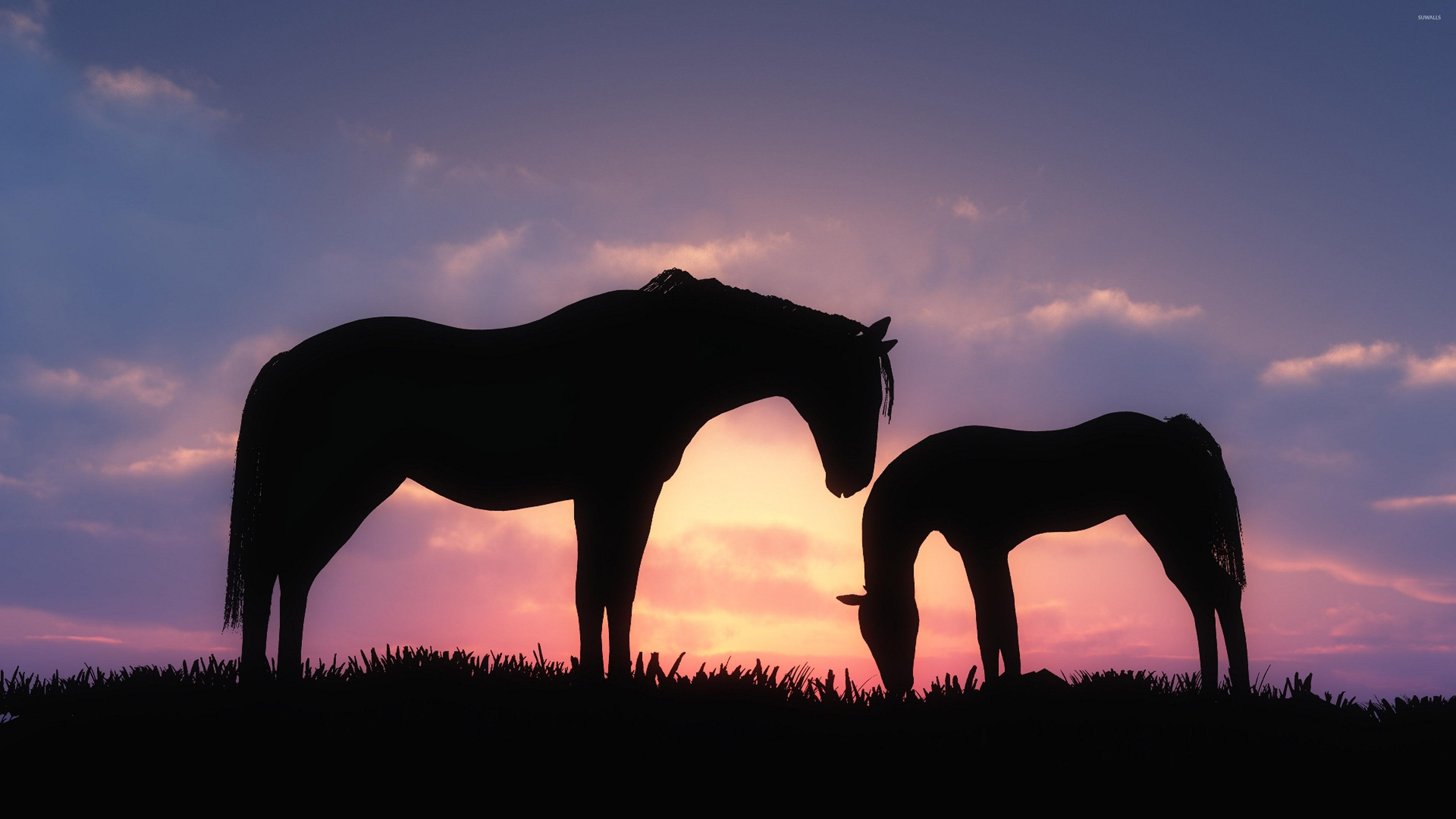 Aesthetic Sunset Horse Wallpapers - Wallpaper Cave