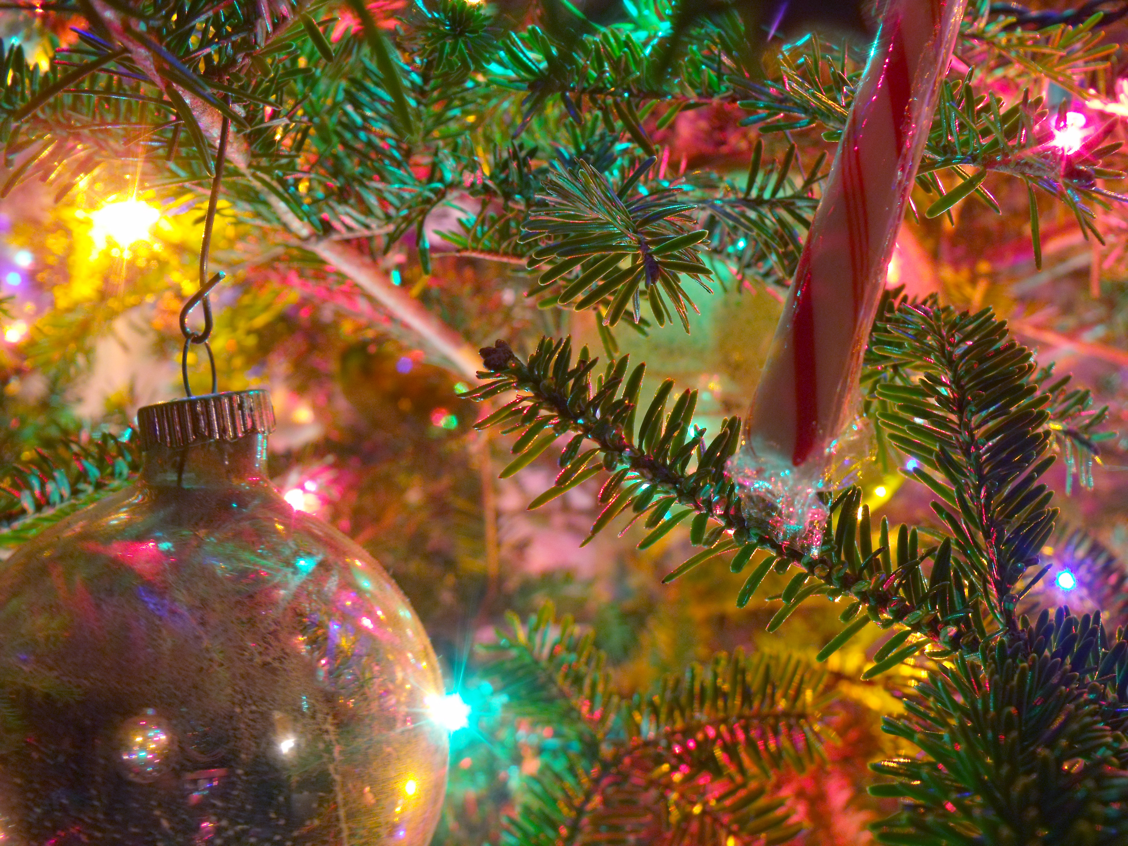 Detail Of The Craig Family Christmas Tree On Night December