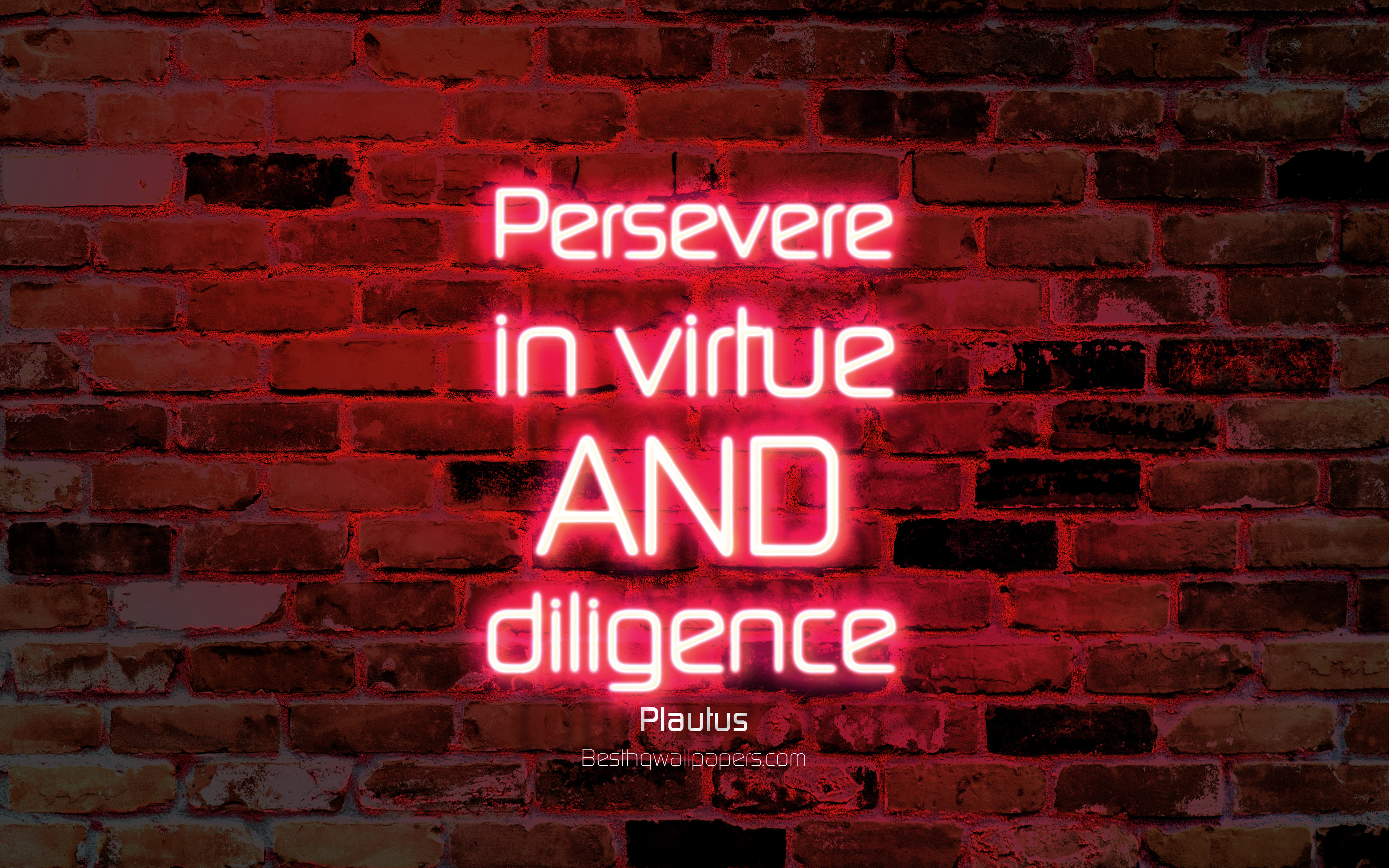 Wallpaper Persevere In Virtue And Diligence 4k Purple