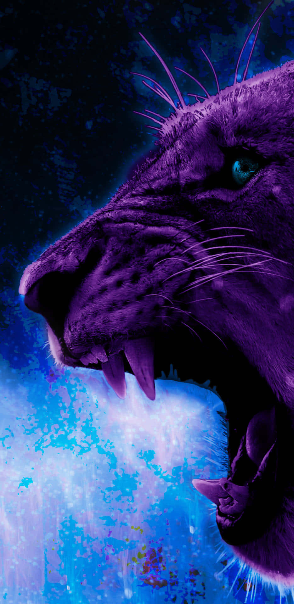 The Cool Animal Galaxy Is An Incredible Explore Of Our World Wallpaper