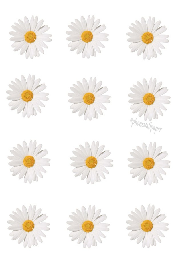 Free download Daisy Background Quotes QuotesGram [610x914] for your  Desktop, Mobile & Tablet | Explore 66+ Daisy Wallpaper Background |  Princess Daisy Wallpaper, Daisy Duck Wallpaper, Daisy Wallpaper