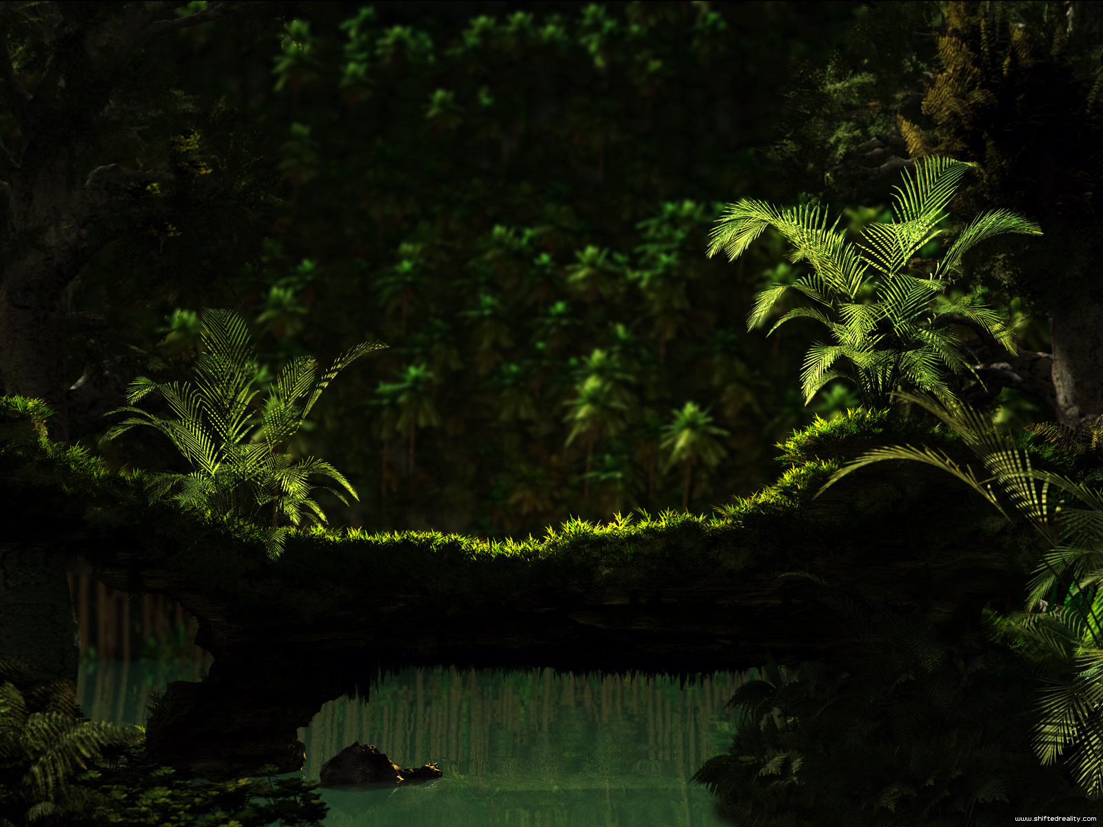Standard Wallpaper