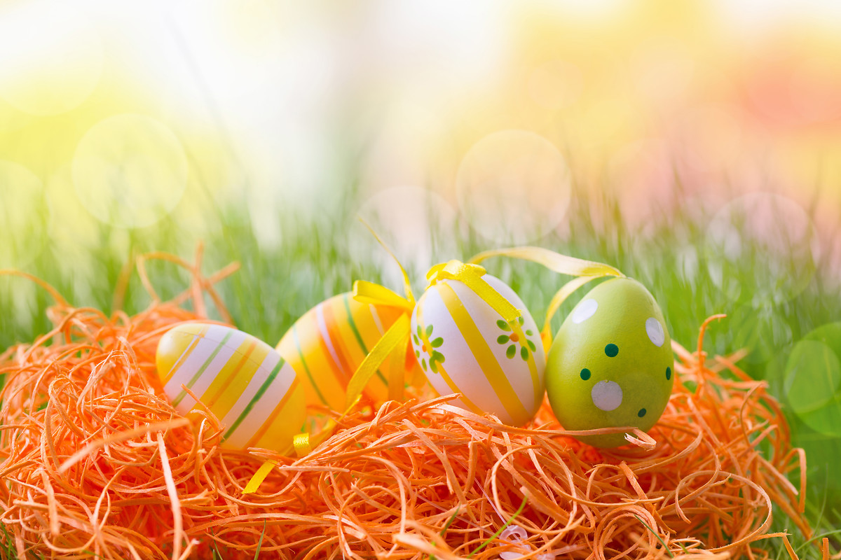  Free Easter Egg Nest HD Wallpapers to your mobile phone or tablet