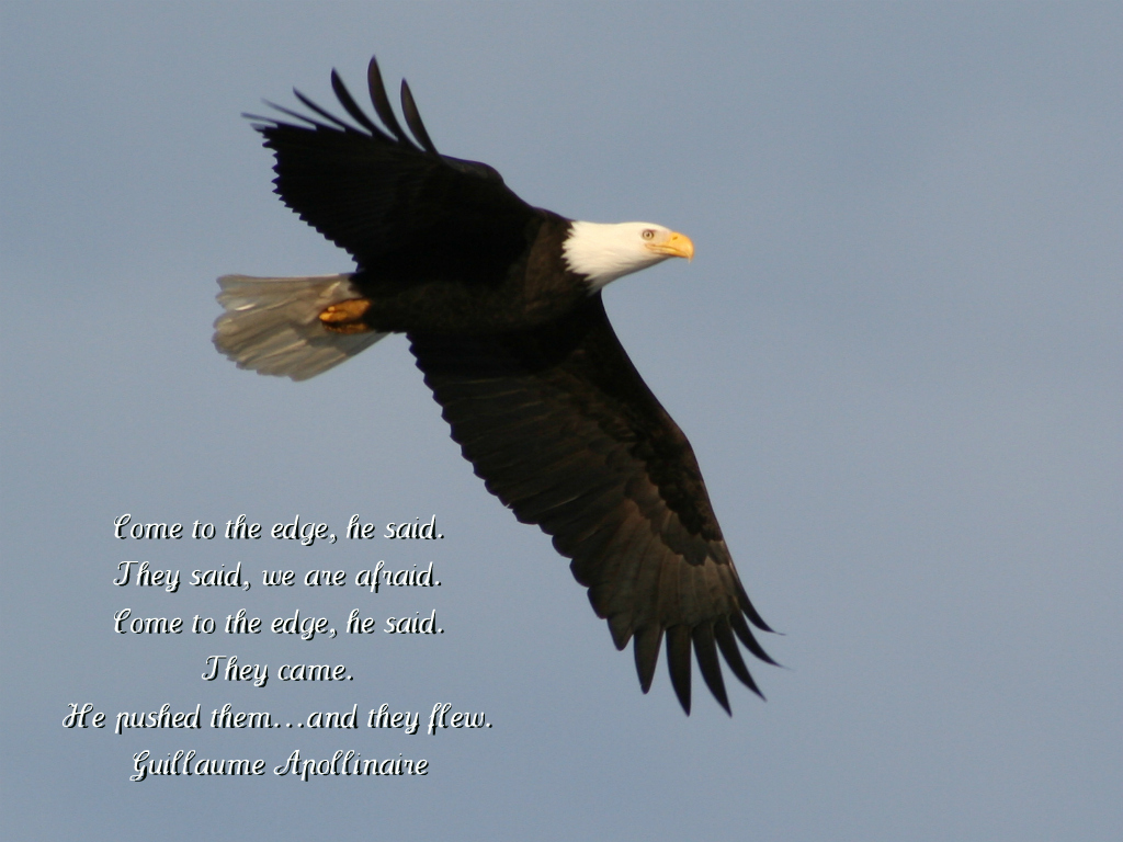 Eagle Motivational Wallpaper Guillaume Apollinaire Quote