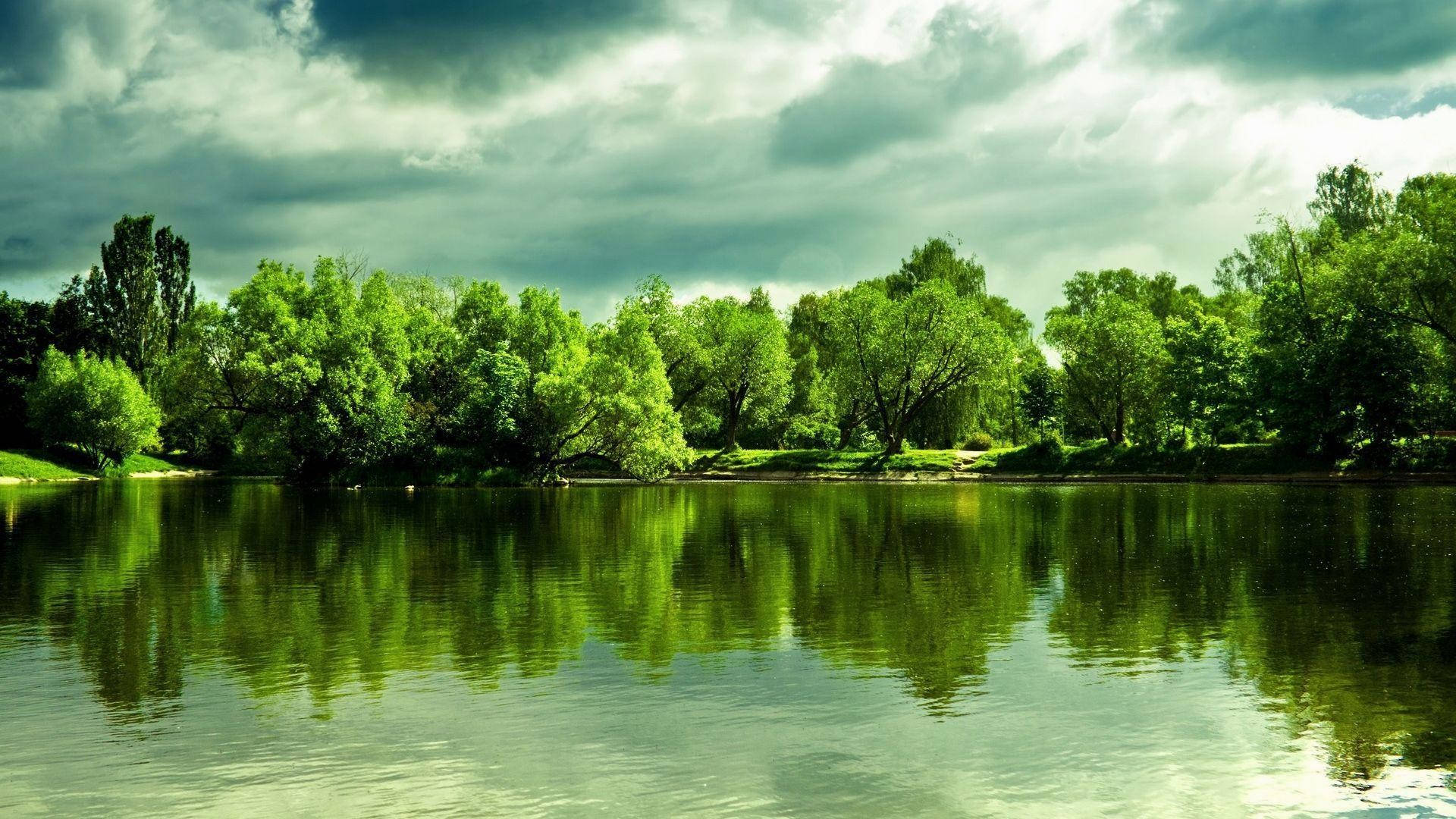 Full HD Nature Wallpaper