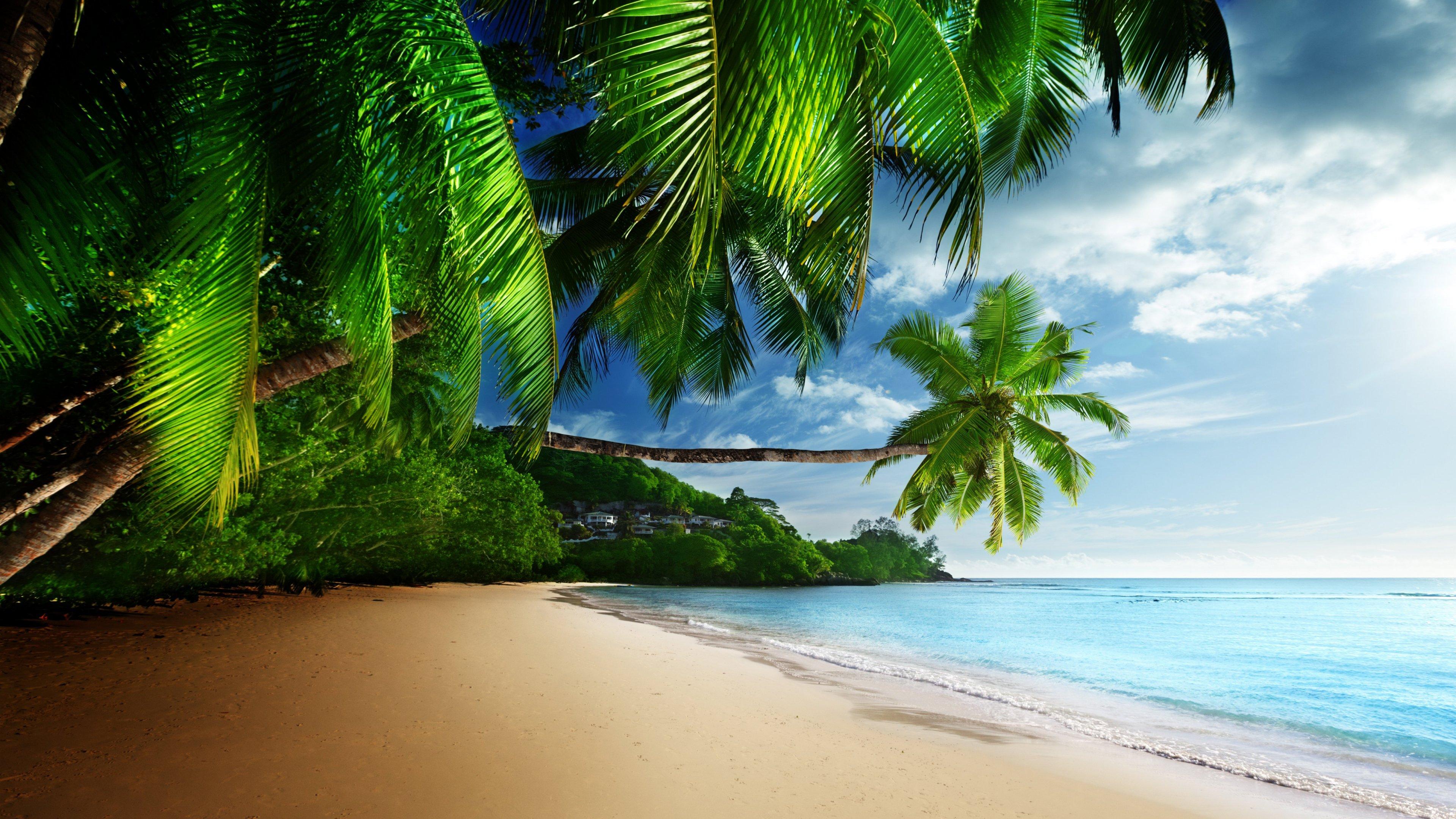 Tropical Beach Paradise 4k Ultra Hd Desktop